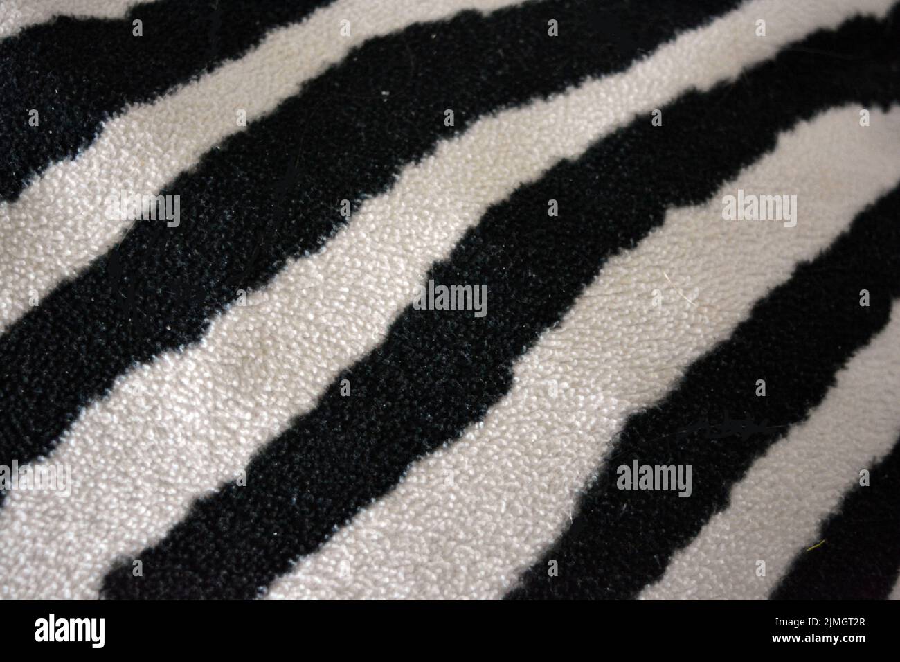 Soft, pleasant, fluffy fabric in the form of zebra, white tiger colors. Fabric animal background consisting of black and white chaotic lines, stripes, Stock Photo