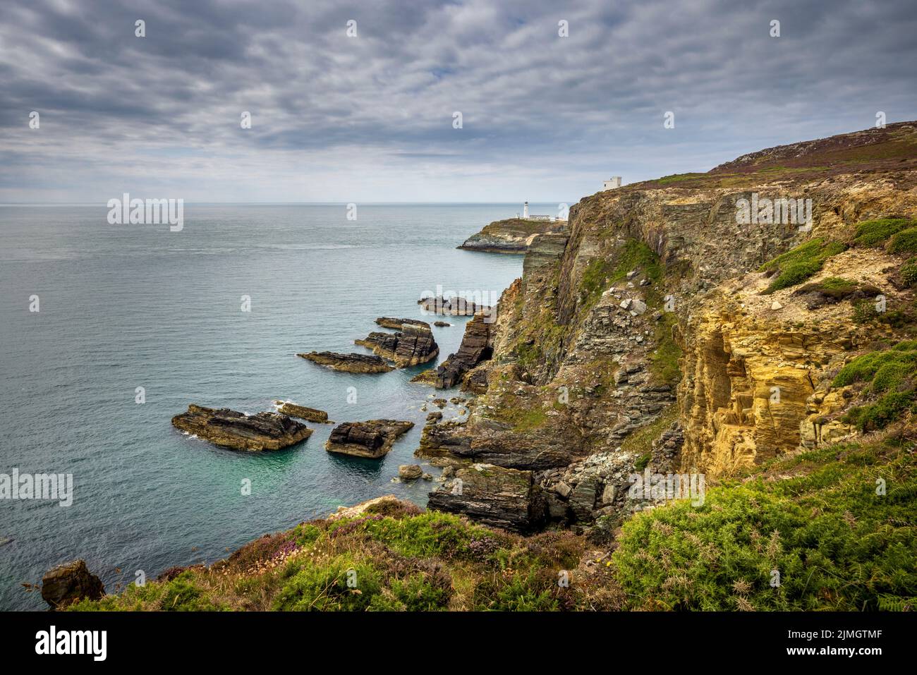 The South Stack cliffs with the Lighthouse and Elin’s Tower in the background, Holy Island, Anglesey, North Wales Stock Photo