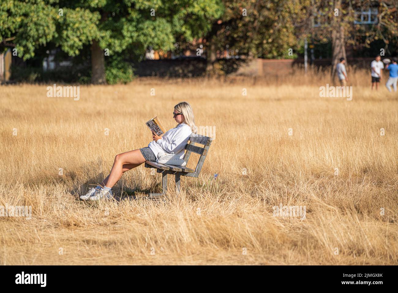 Wimbledon, London, UK. 6 August 2022  A woman  relaxing on a bench with a book in the afternoon sunshine on the parched  grass of Wimbledon Common  as the hot weather and a lack of rainfall continue to grip much of the south of England and the UK, with temperatures expected to reach  above 30celsius  by next week Credit. amer ghazzal/Alamy Live News Stock Photo