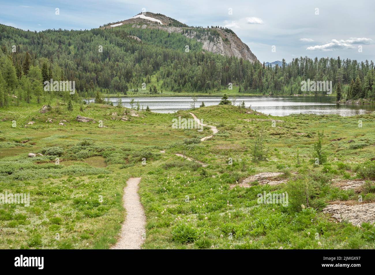 Hiking trail and Larix Lake in Sunshine Meadows in Mount Assiniboine