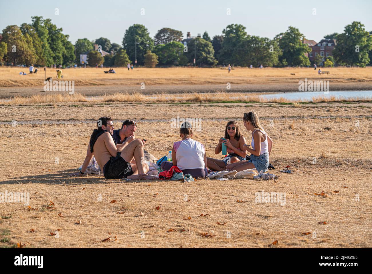 Wimbledon, London, UK. 6 August 2022  A group of people relaxing in the afternoon sunshine on the parched  grass of Wimbledon Common  as the hot weather and a lack of rainfall continue to grip much of the south of England and the UK, with temperatures expected to reach  above 30celsius  by next week Credit. amer ghazzal/Alamy Live News Stock Photo