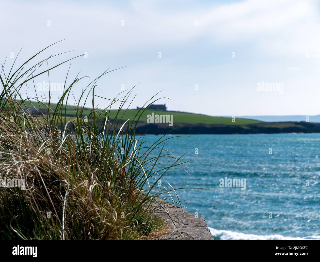 A bush of grass on the shore of the turquoise Celtic Sea. Seaside landscape. Green grass near body of water Stock Photo