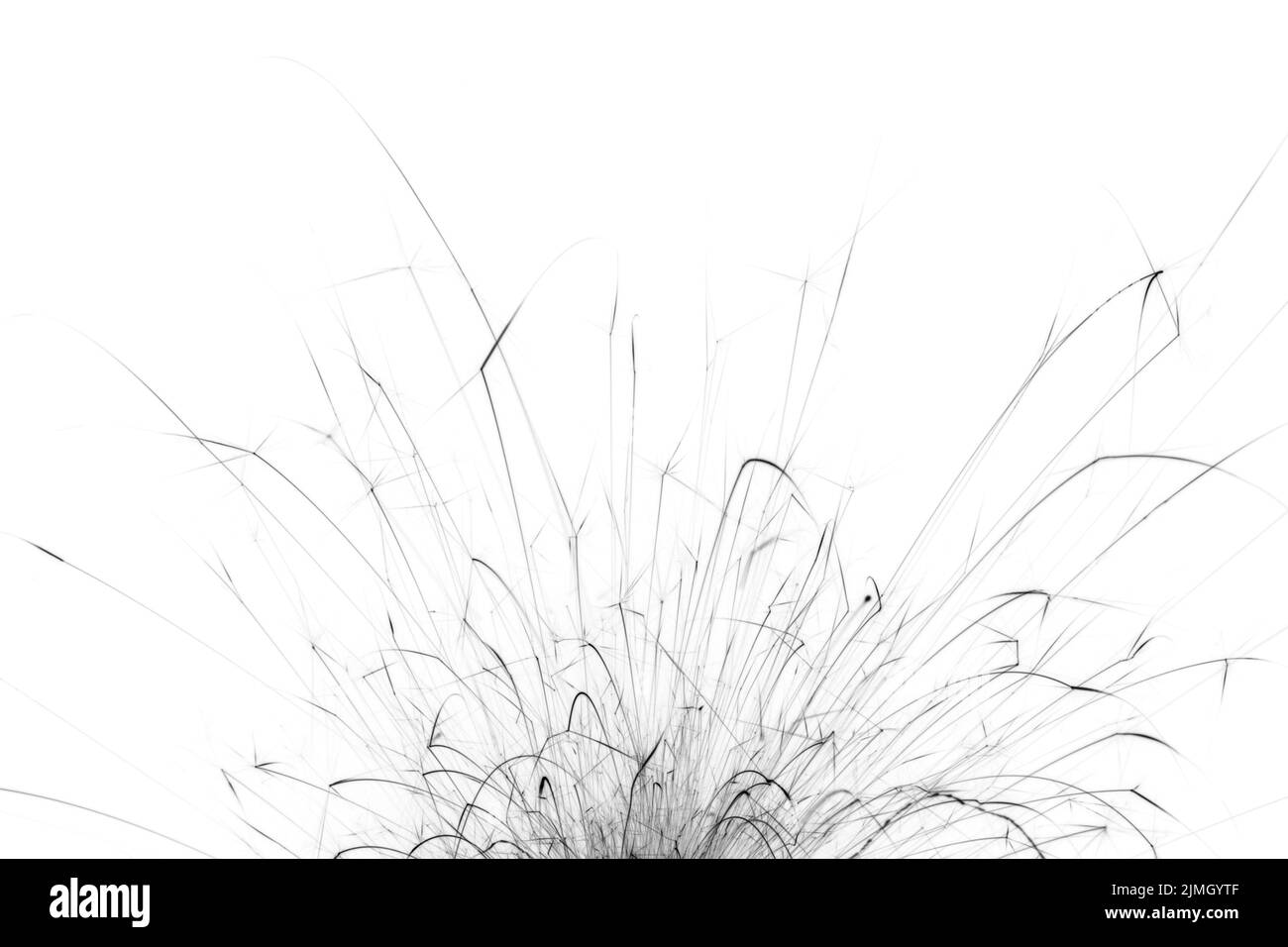 Black lines on a white background. Abstract monochrome photo of fireworks sparks. Stock Photo