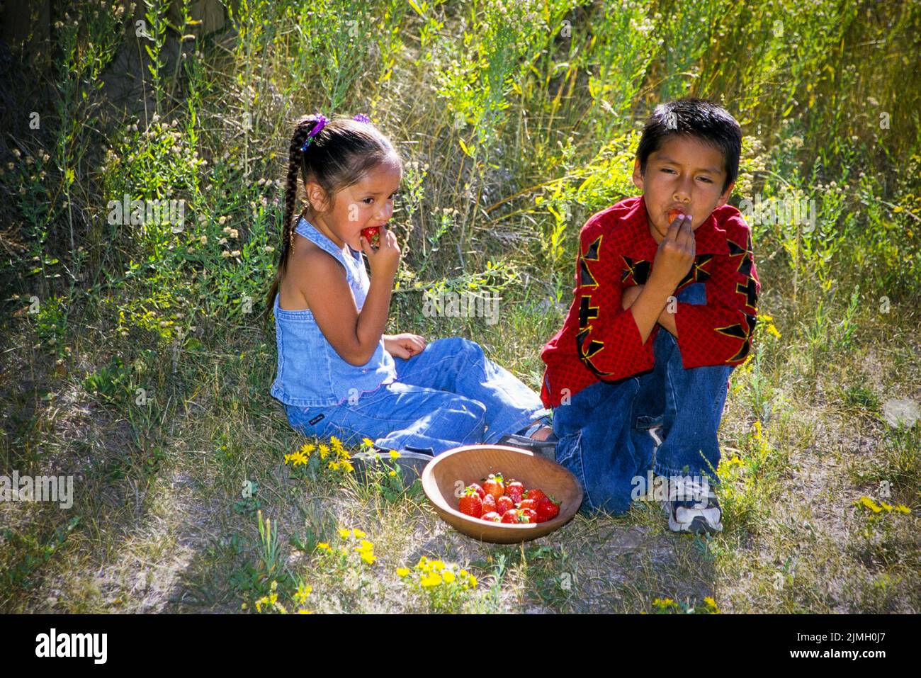 Native American sister and brother eat a bowl of strawberries. Fort Hall Idaho Stock Photo