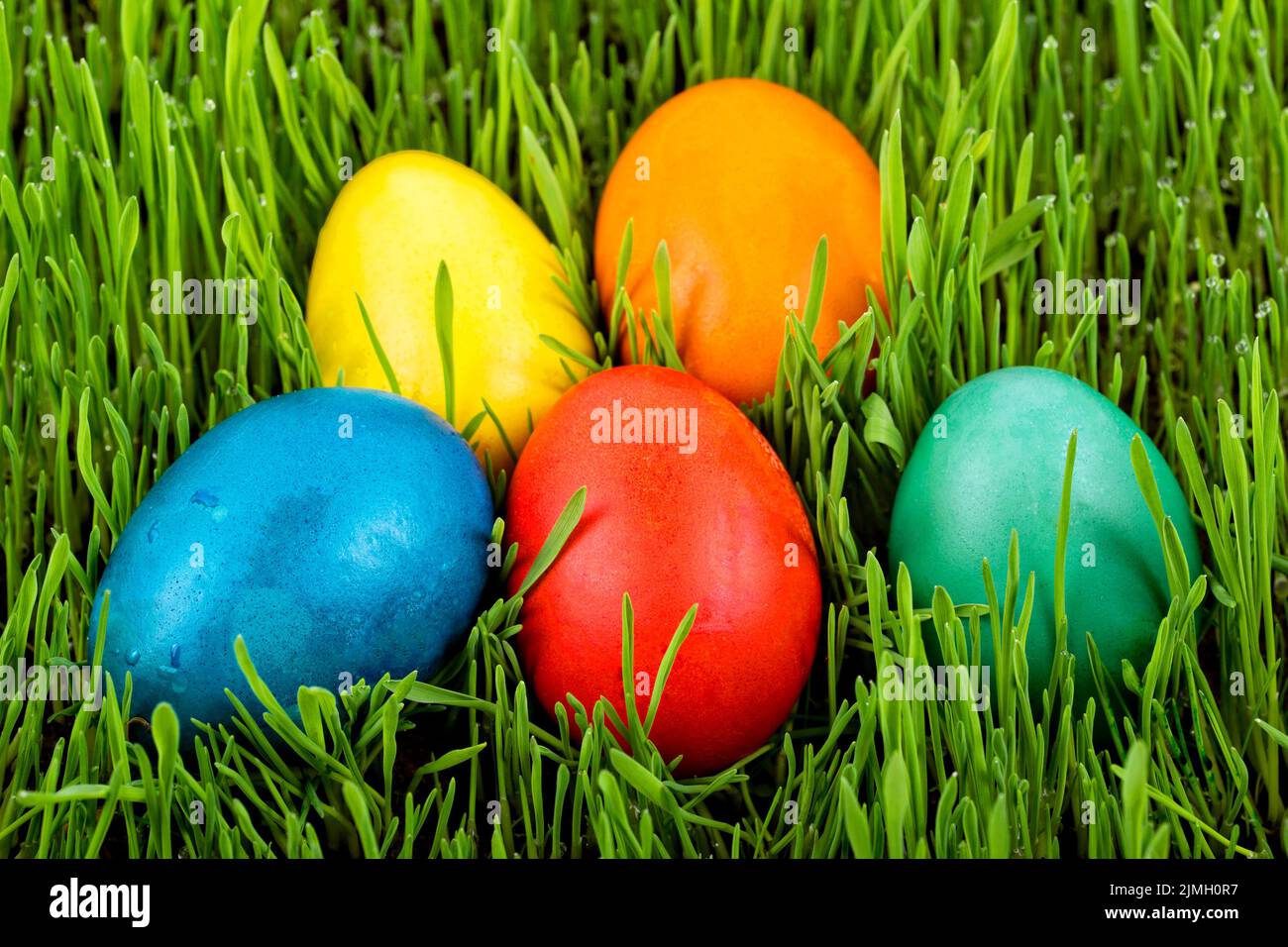 Easter eggs in the grass Stock Photo