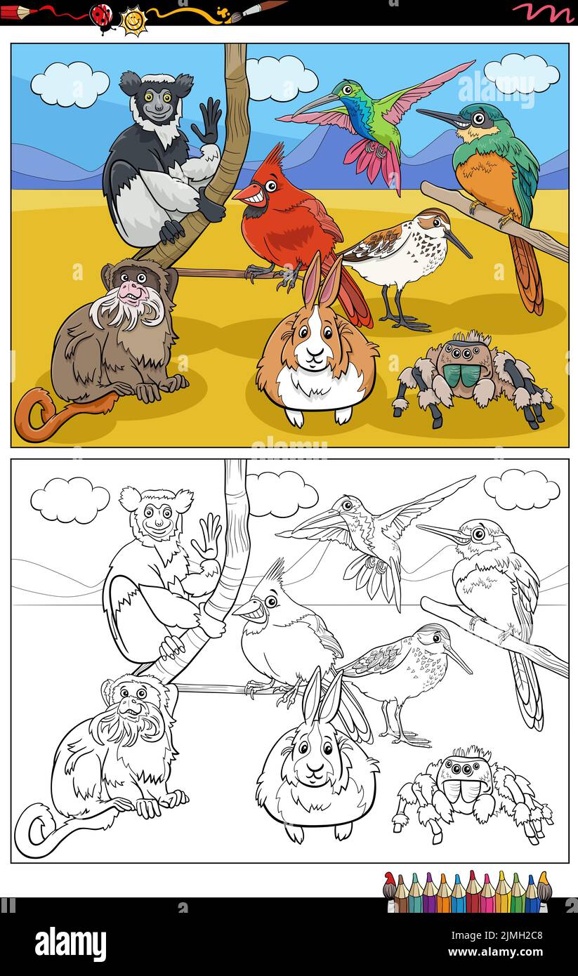 Cartoon animal characters group coloring book page Stock Photo - Alamy