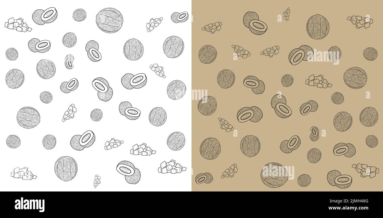 Sweet melon or Cantaloupe with two backgrounds. doodle vector