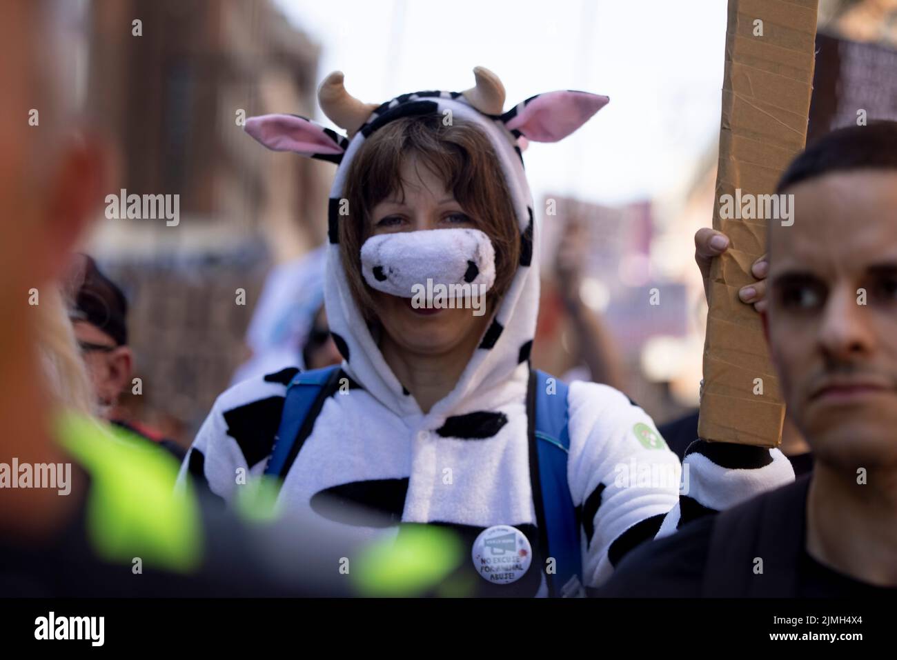 Animal Rights Protest Sign Cows An activist seen in a cow costume supporting animal rights during the ...
