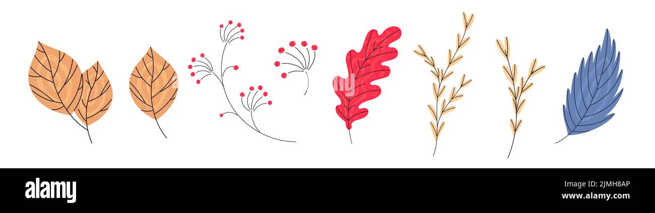 Set of different autumn leaves on white background Stock Vector Image ...