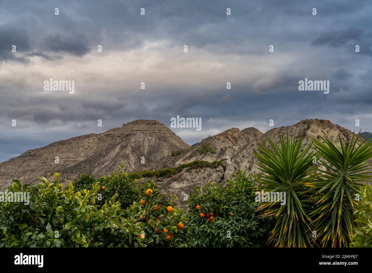 A desert mountain landscape in Andalusia under stormy skies with palm trees and orange orchard in the foreground Stock Photo