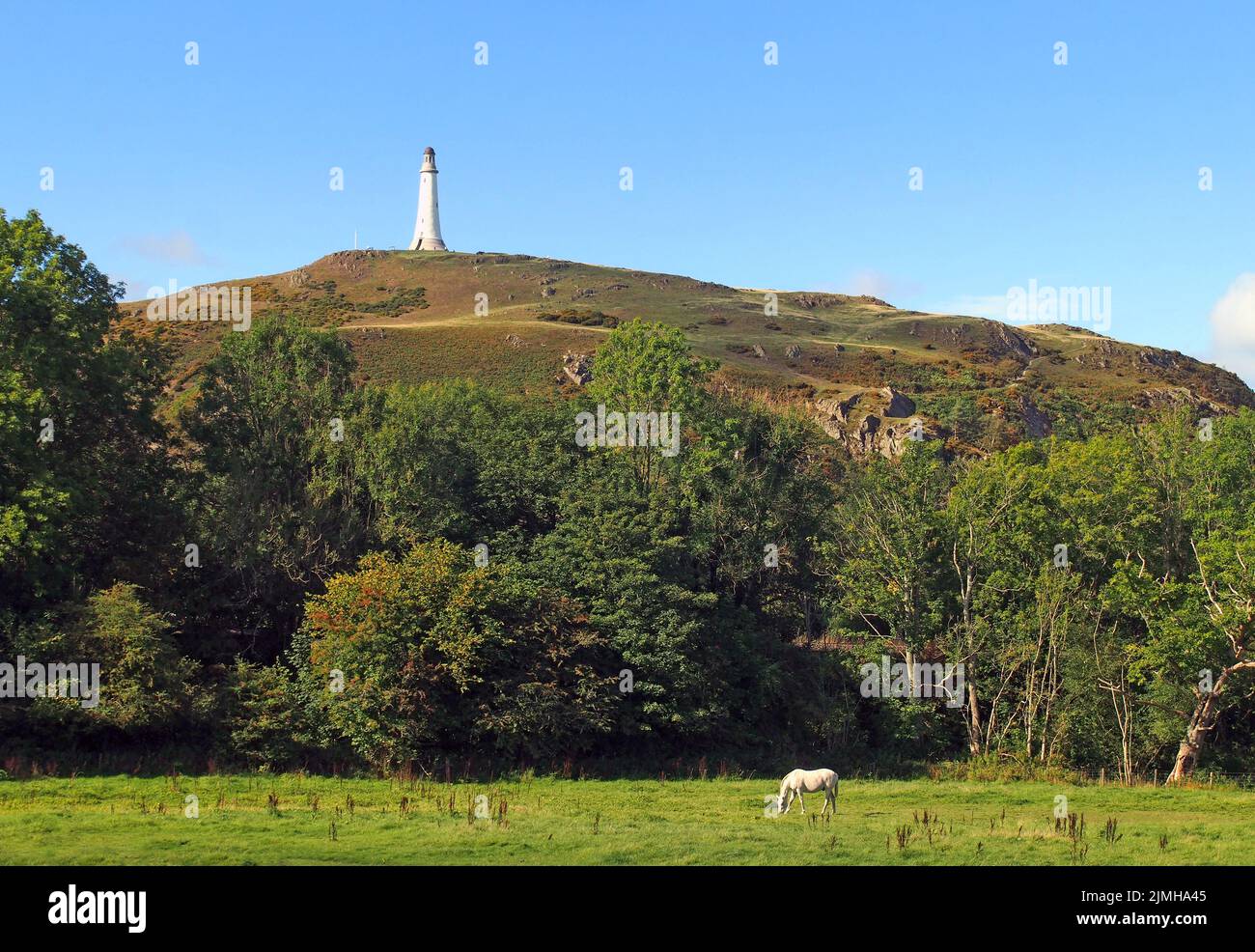 Hoad hill and historic 19th century monument in Ulverston with a horse grazing in a meadow Stock Photo