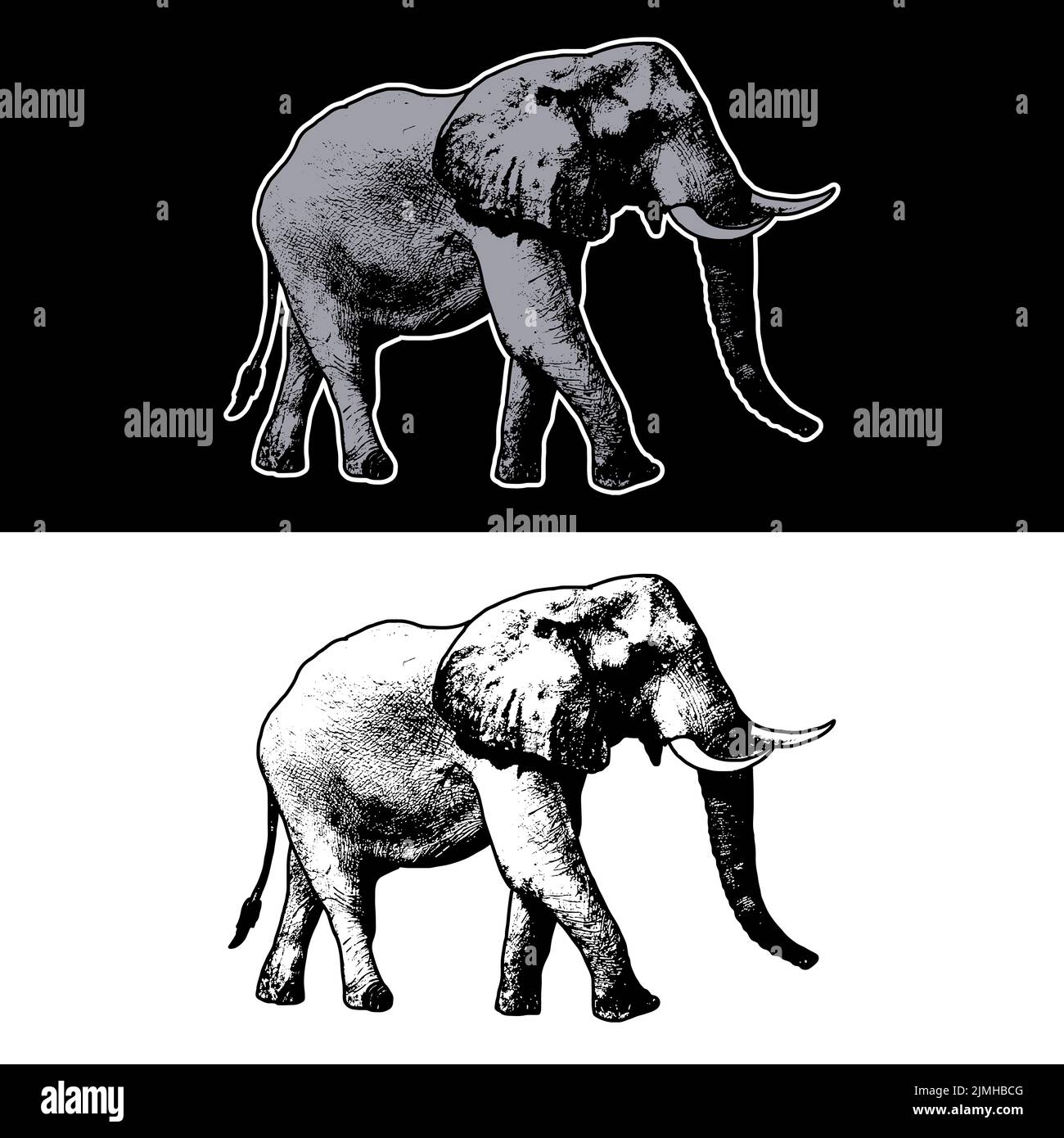 A vector design of an elephant illustration with hand drawing style on ...