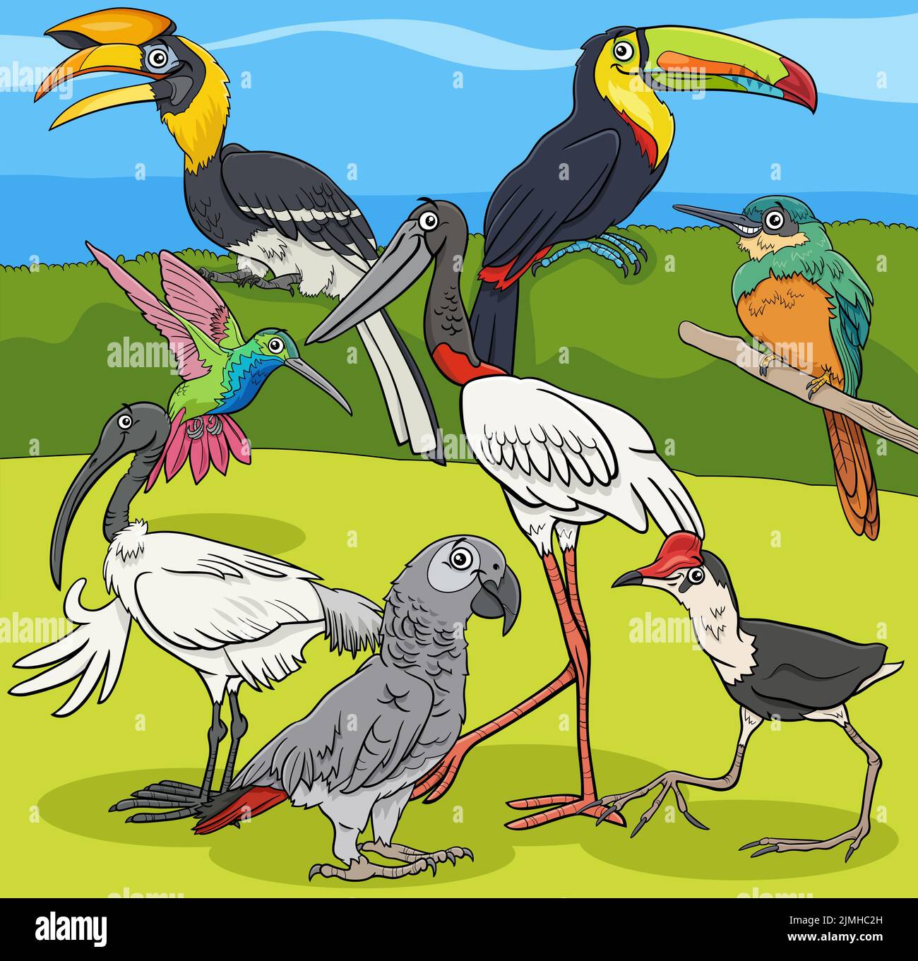 Birds animal characters group cartoon illustration Stock Photo - Alamy