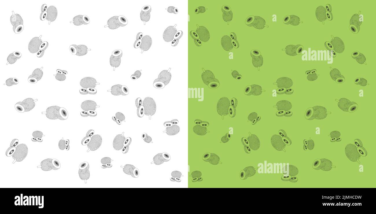 Set of Breadfruit or Custard apple vector illustration for web and apps. Stock Vector
