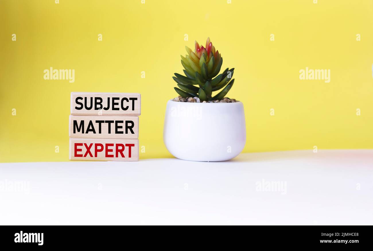 Subject matter expert, text written on wooden blocks and yellow and white background. Business, SME, subject expert concept. Copy space. Stock Photo