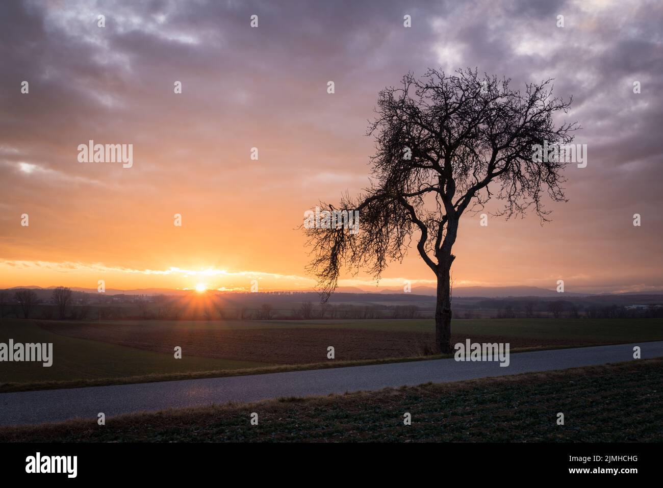 Magical sunrise with tree Stock Photo