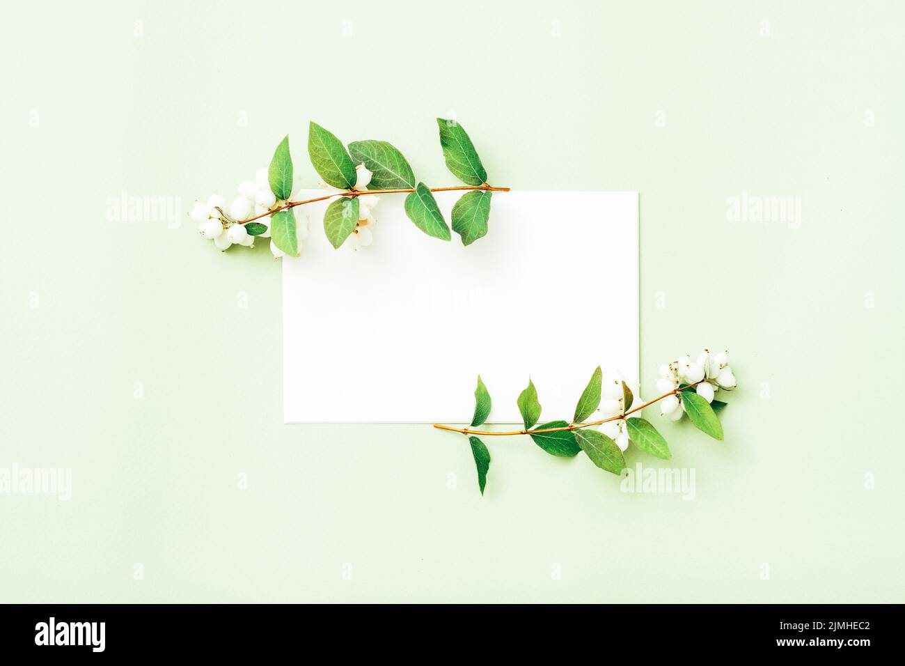 festive greeting card white paper mint background Stock Photo Alamy