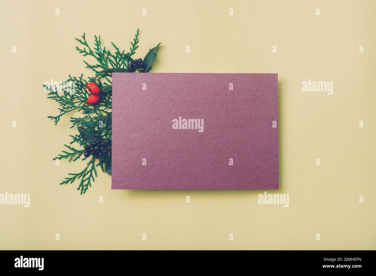 festive greeting card purple beige background Stock Photo