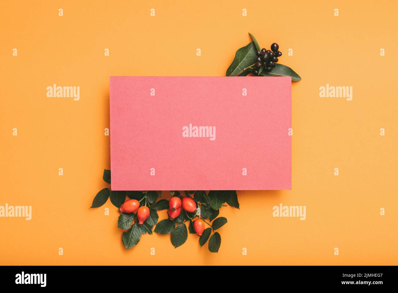 festive greeting card pink paper orange background Stock Photo