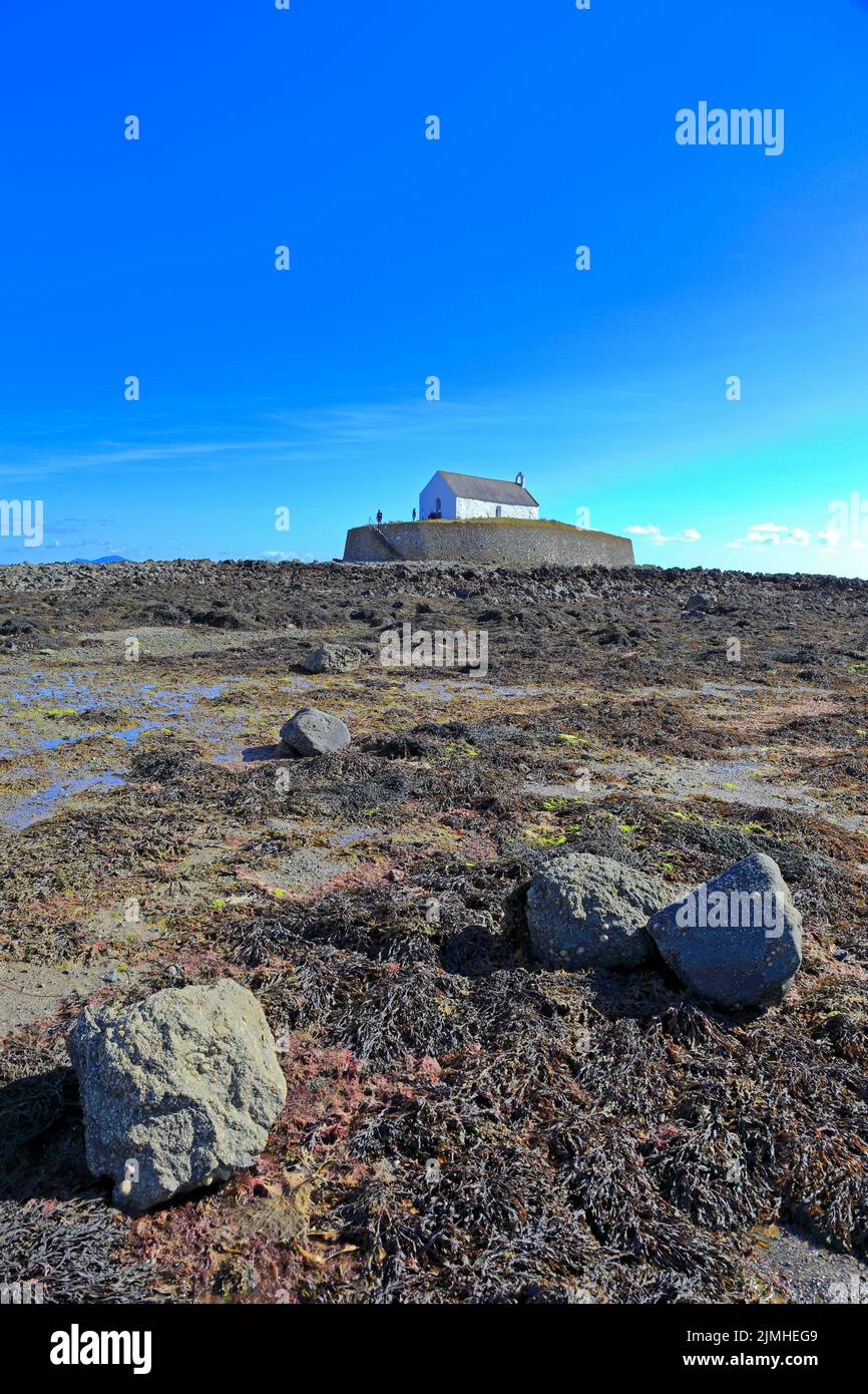 St Cwyfan's Church in Porth Cwyfan at low tide, Aberffraw, Isle of Anglesey, Ynys Mon, North Wales, UK. Stock Photo