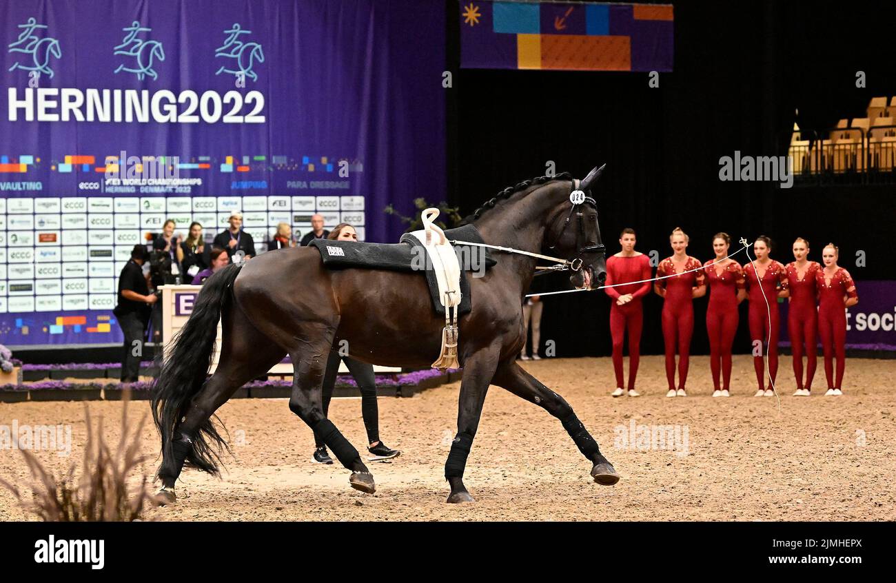 Herning. Denmark. 06 August 2022. World Equestrian Games. Jyske Bank