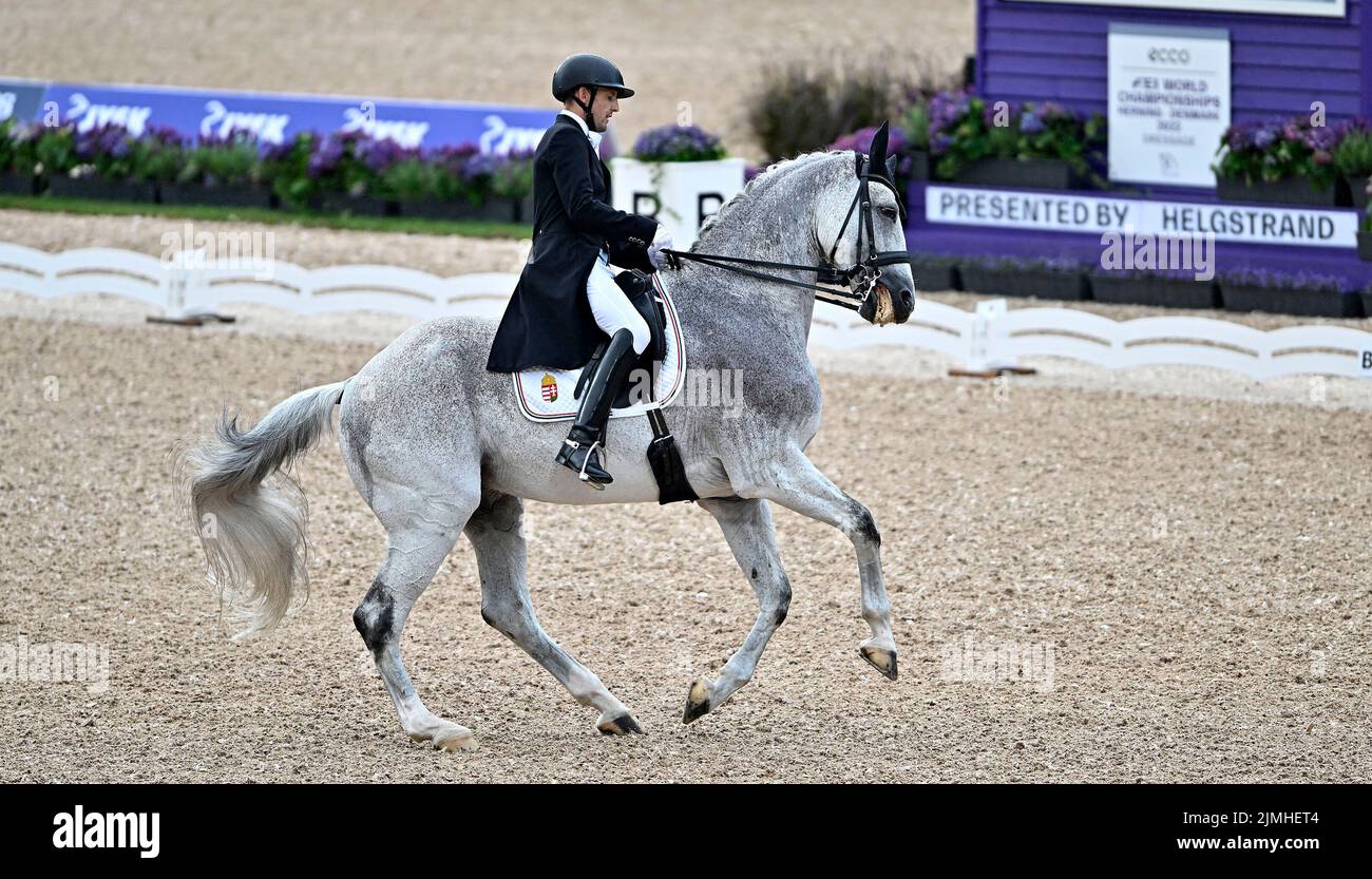 Herning, Denmark. 06th Aug, 2022. World Equestrian Games. Jyske Bank Boxen Stadium. Csaba Szokola (HUN) riding ENYING during the Blue Hors FEI world dressage team championship grand prix. Credit: Sport In Pictures/Alamy Live News Stock Photo