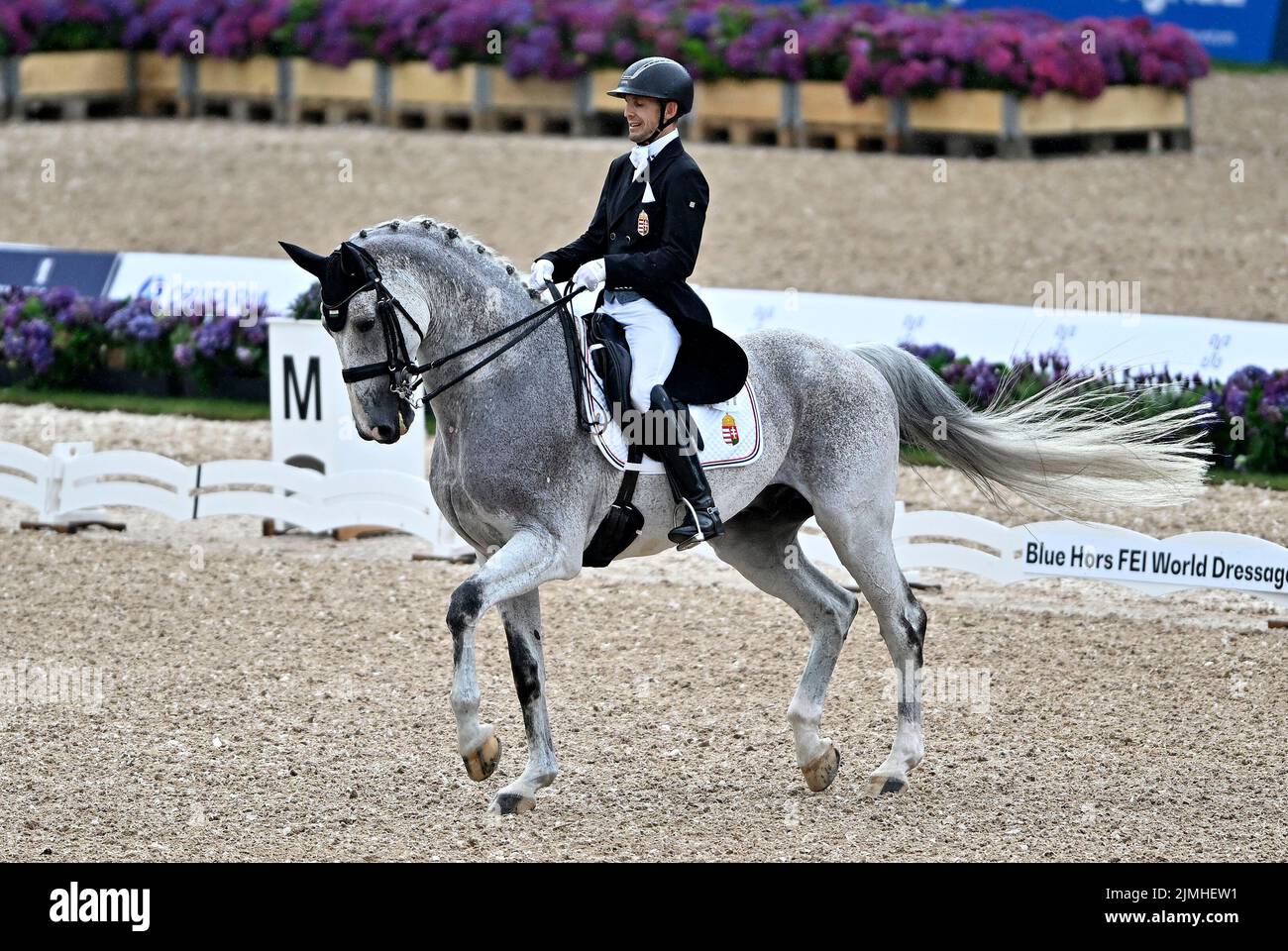 Herning, Denmark. 06th Aug, 2022. World Equestrian Games. Jyske Bank Boxen Stadium. Csaba Szokola (HUN) riding ENYING during the Blue Hors FEI world dressage team championship grand prix. Credit: Sport In Pictures/Alamy Live News Stock Photo