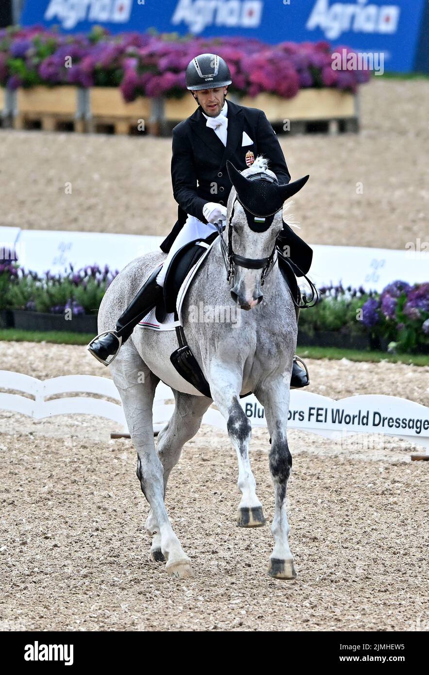 Herning, Denmark. 06th Aug, 2022. World Equestrian Games. Jyske Bank Boxen Stadium. Csaba Szokola (HUN) riding ENYING during the Blue Hors FEI world dressage team championship grand prix. Credit: Sport In Pictures/Alamy Live News Stock Photo