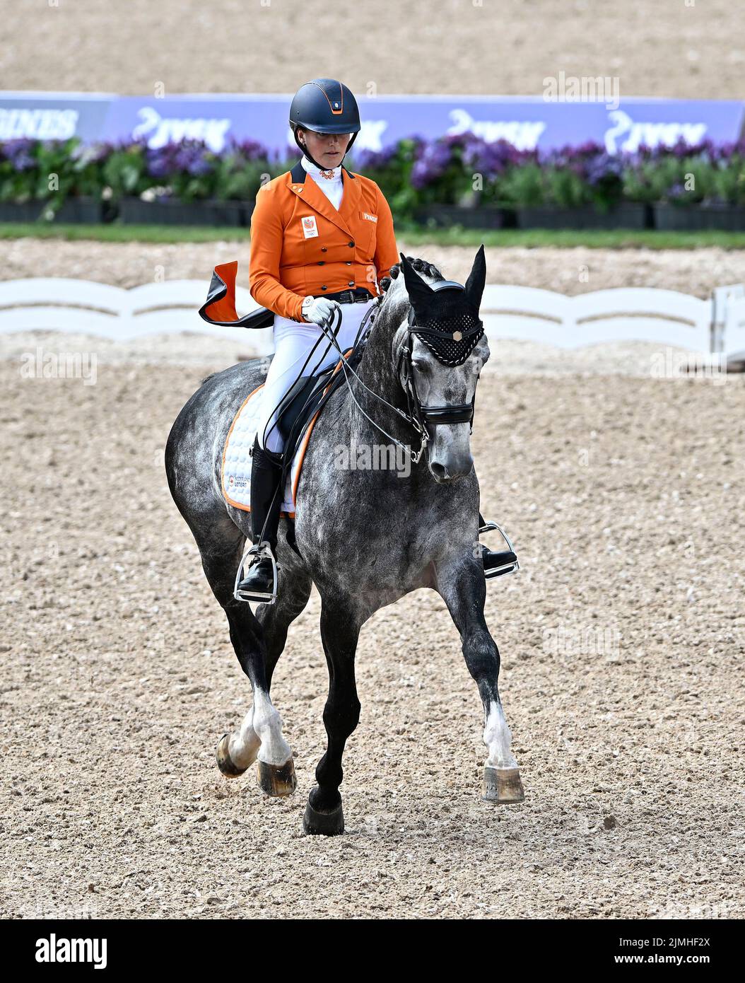 Herning, Denmark. 06th Aug, 2022. World Equestrian Games. Jyske Bank Boxen Stadium. Thamar Zweistra (NED) riding HEXAGON'S ICH WEISS during the Blue Hors FEI world dressage team championship grand prix. Credit: Sport In Pictures/Alamy Live News Stock Photo