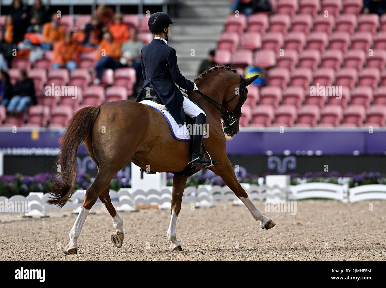 Herning, Denmark. 06th Aug, 2022. World Equestrian Games. Jyske Bank Boxen Stadium. Carrie Schopf (ARM) riding SAUMUR during the Blue Hors FEI world dressage team championship grand prix. Credit: Sport In Pictures/Alamy Live News Stock Photo