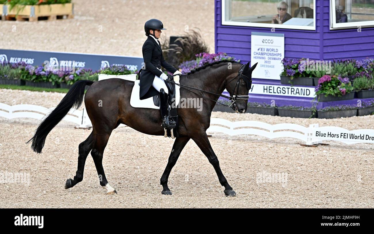 Herning, Denmark. 06th Aug, 2022. World Equestrian Games. Jyske Bank Boxen Stadium. Anna Mierzwinska (POL) riding DEAN MARTIN during the Blue Hors FEI world dressage team championship grand prix. Credit: Sport In Pictures/Alamy Live News Stock Photo