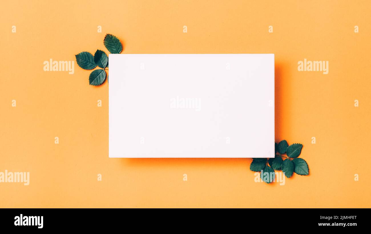 greeting card white paper leaves orange background Stock Photo Alamy