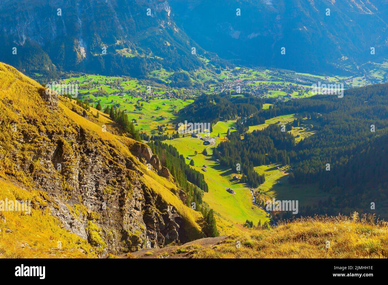 Grindelwald green valley aerial view, Switzerland Stock Photo Alamy