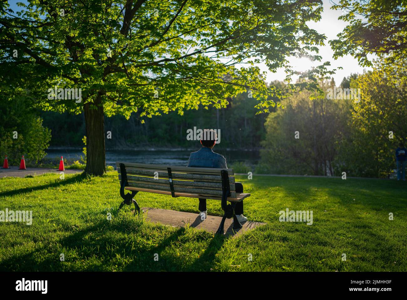 A man sitting on a bench in the park with lake view and trees Stock ...