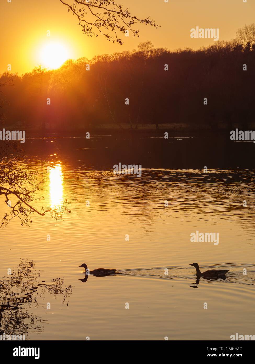 Sundown at a lake in germany Stock Photo