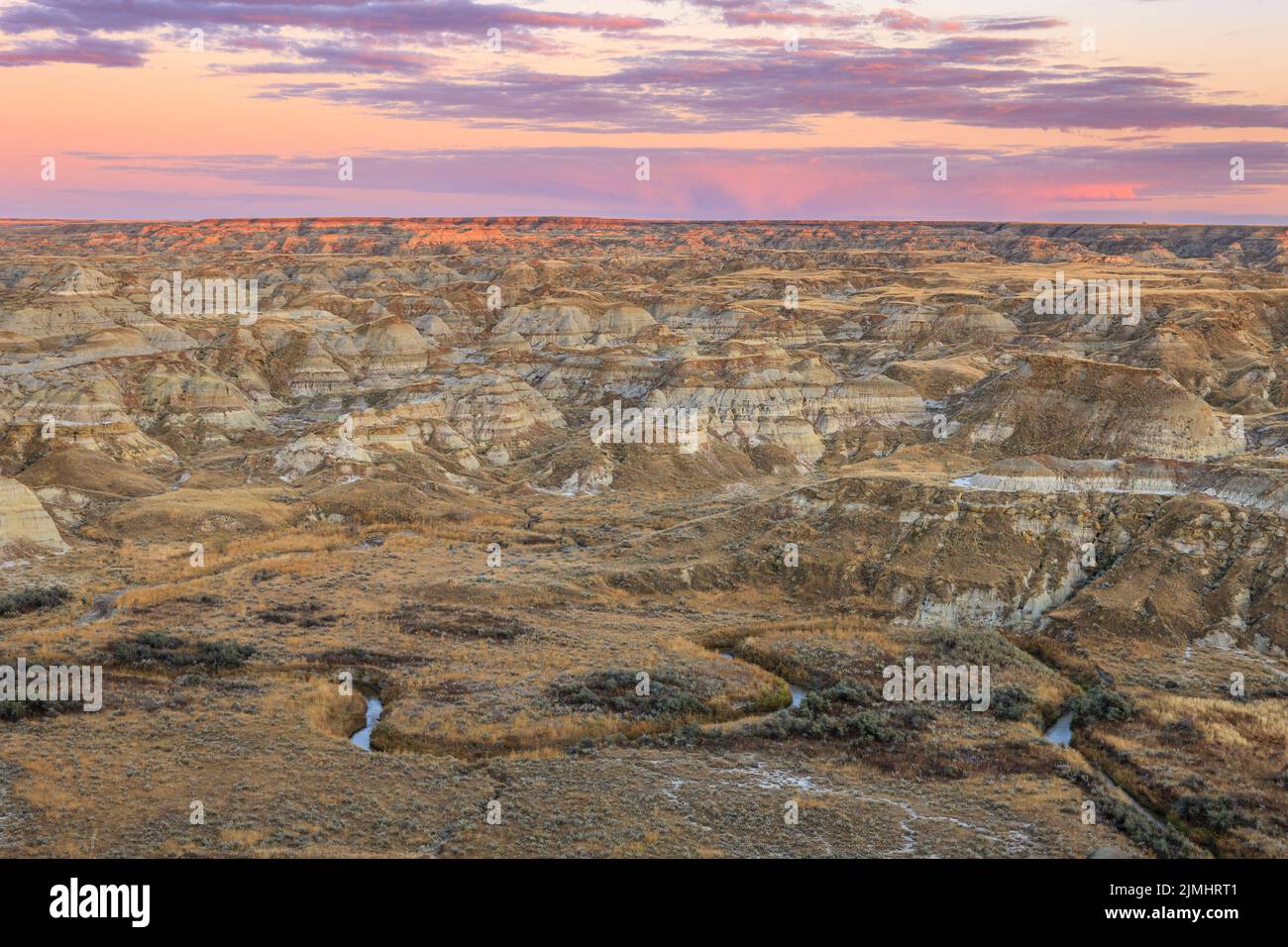 A view of the badlands in Dinosaur Provincial Park in southern Alberta Stock Photo