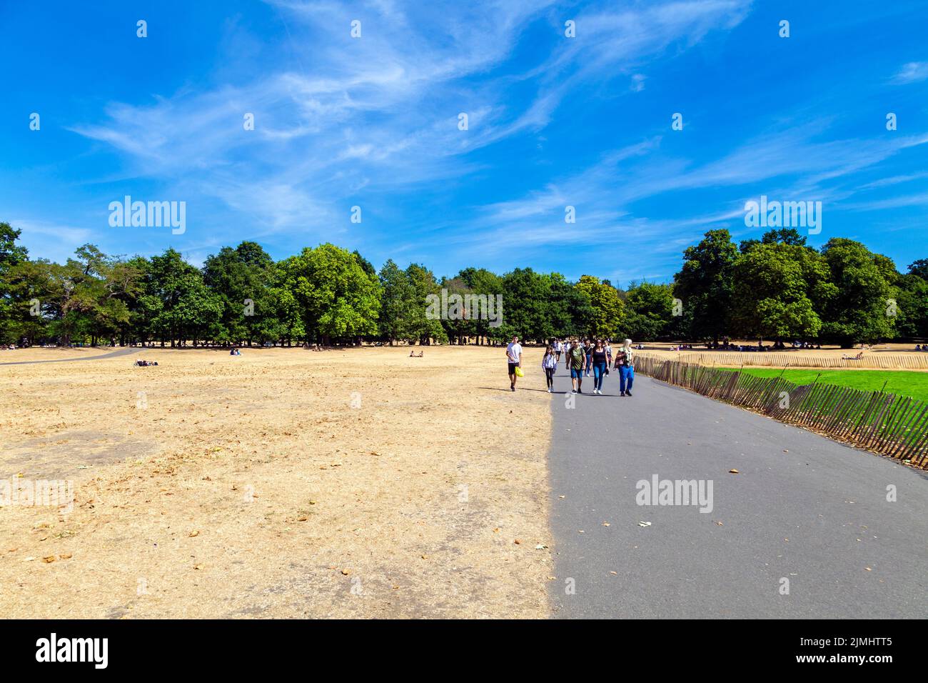 6 August 2022 - London, UK - Dried out grassland at Greenwich Park after a series of heatwaves and record high temperatures, city facing drought and water rationing measures Stock Photo