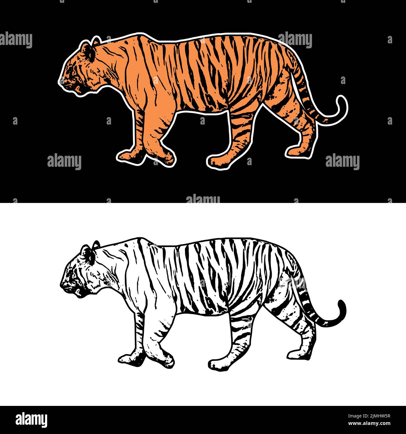A vector design of a tiger illustration with hand drawing style on ...