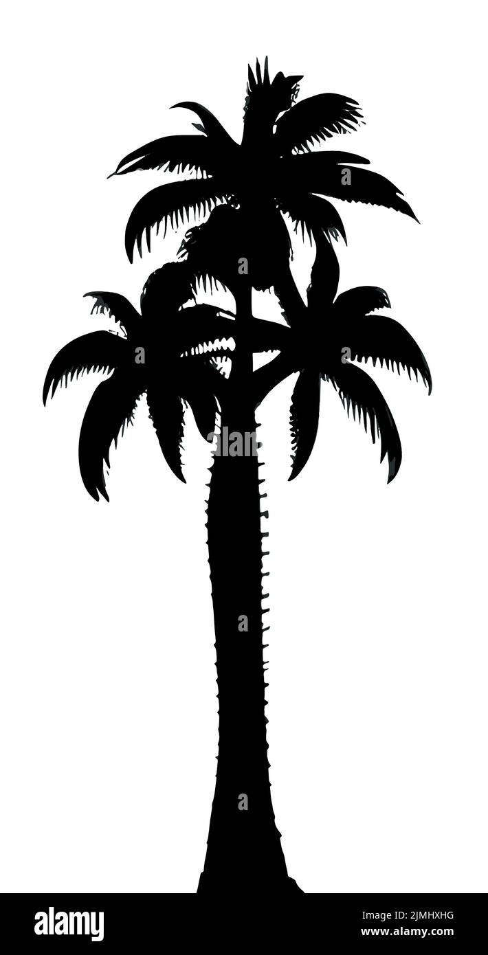 A vertical design of a palm tree in black isolated on white background Stock Vector