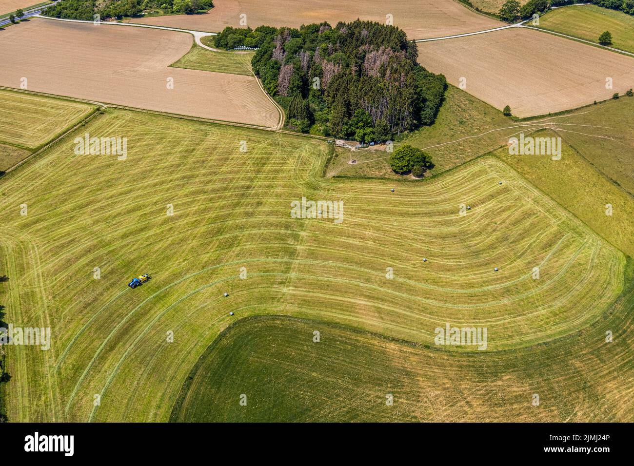 Aerial view, agricultural fields, tractor mowing meadow, Langenholthausen, Balve, Sauerland, North Rhine-Westphalia, Germany, DE, Europe, shapes and c Stock Photo