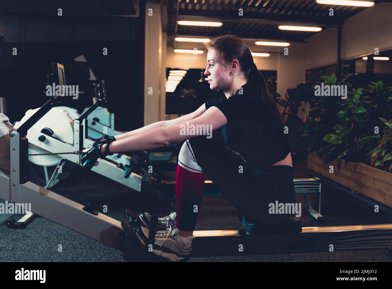 Woman exercising rowing machine gym Stock Photo