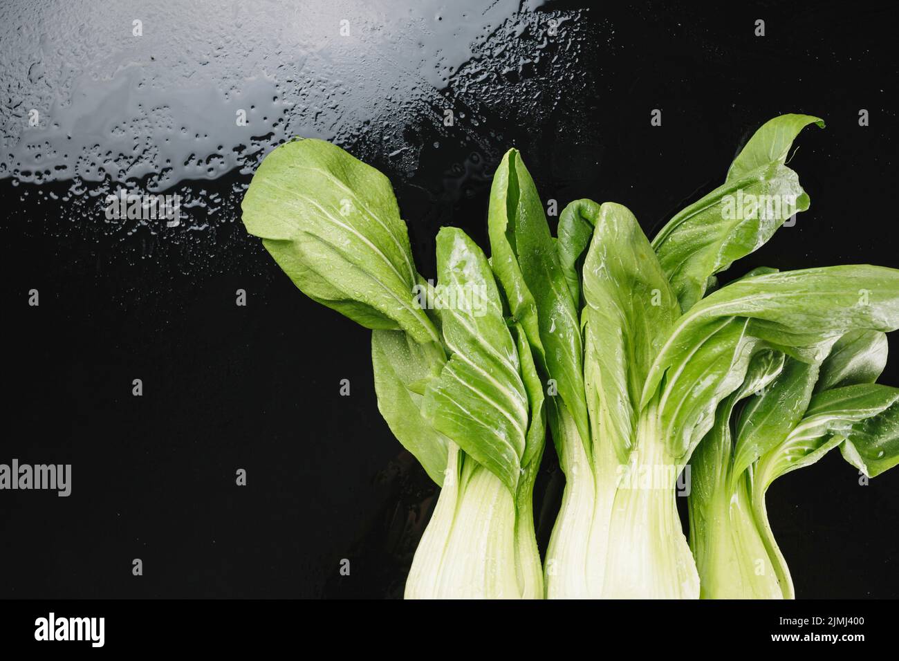 Bok Choys Wet Background Stock Photo Alamy