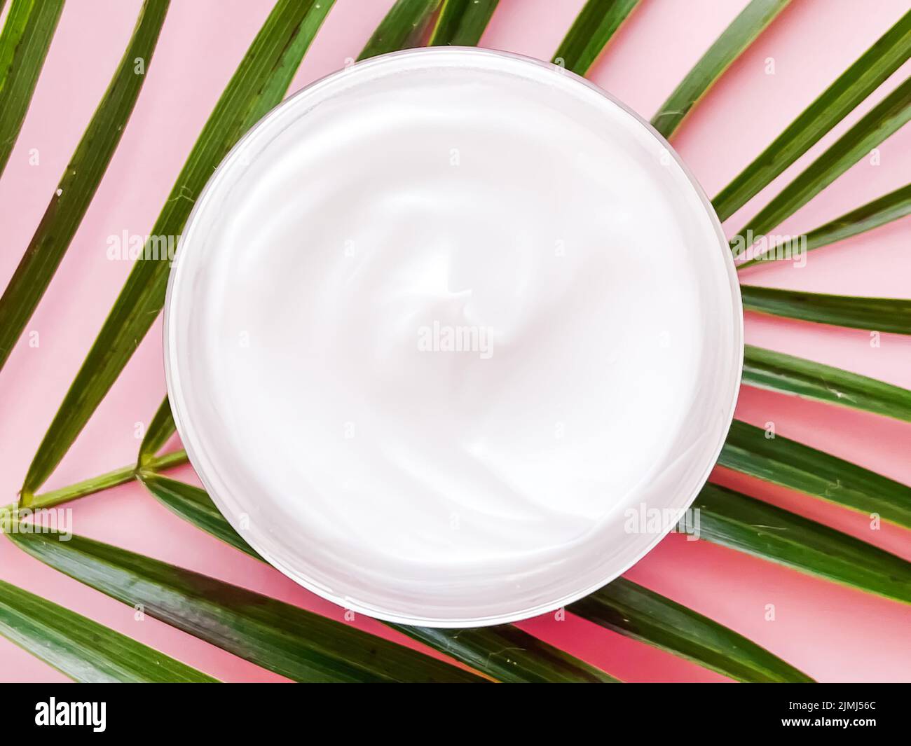 Face cream jar and green leaf, beauty, skincare and cosmetic product