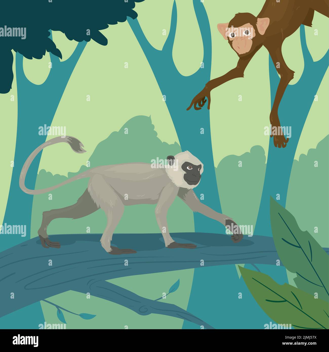 poster of chimpanzee and capuchin monkey Stock Vector Image & Art - Alamy