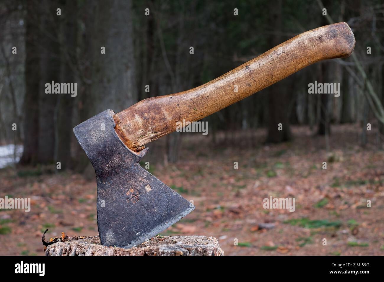 Rusty old axe in forest hi-res stock photography and images - Alamy