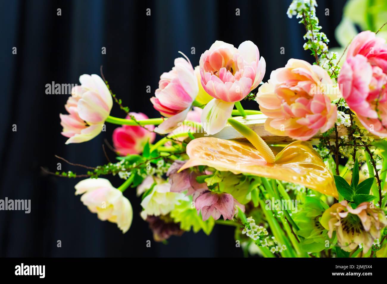 Flower pink roses peony decoration, beautiful blooming bouquet Stock Photo