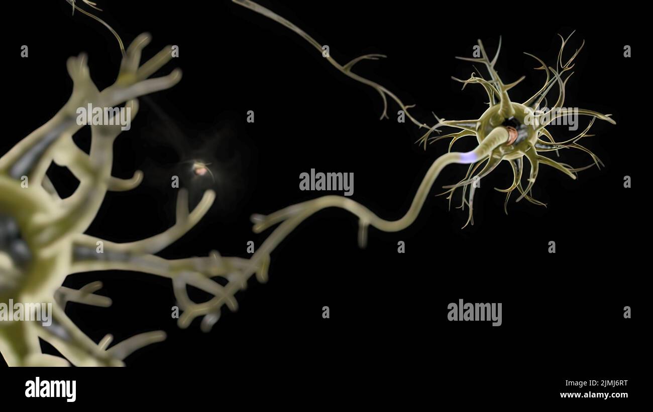 Neuro connections hi-res stock photography and images - Alamy