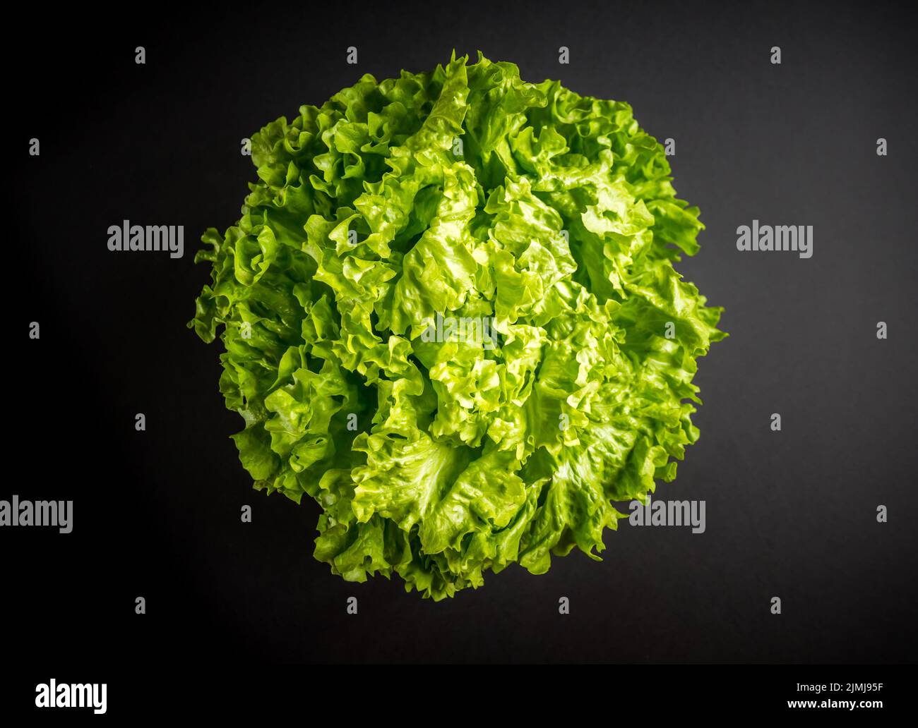 Lettuce salad isolated on a black background Stock Photo