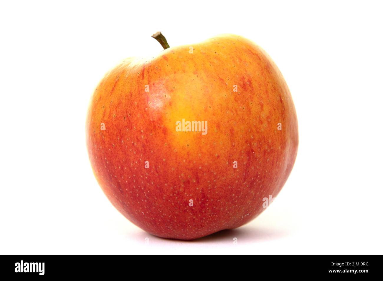 Red and yellow apple on a white background Stock Photo