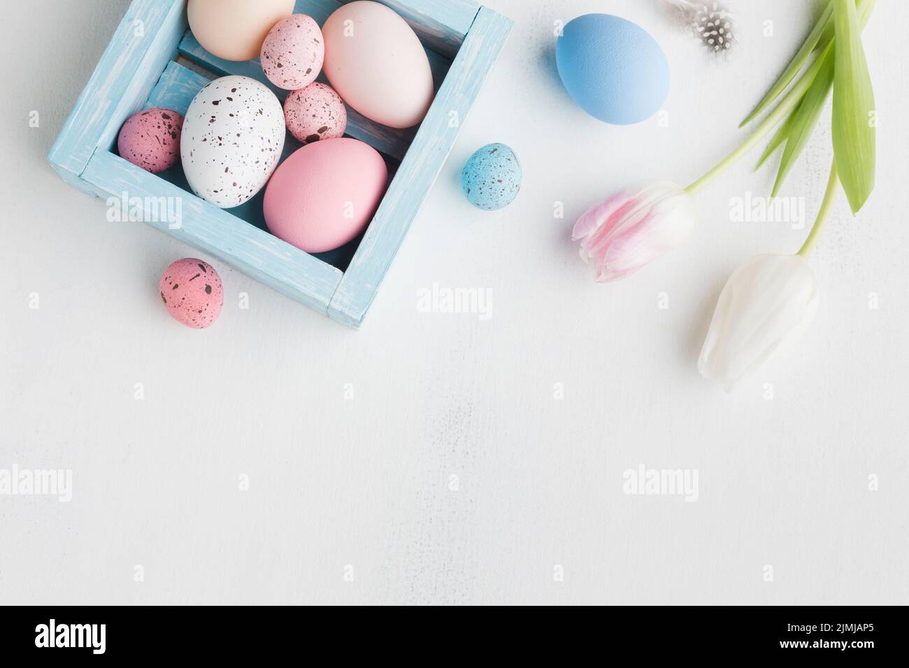 Top view colorful eggs easter with tulips Stock Photo - Alamy